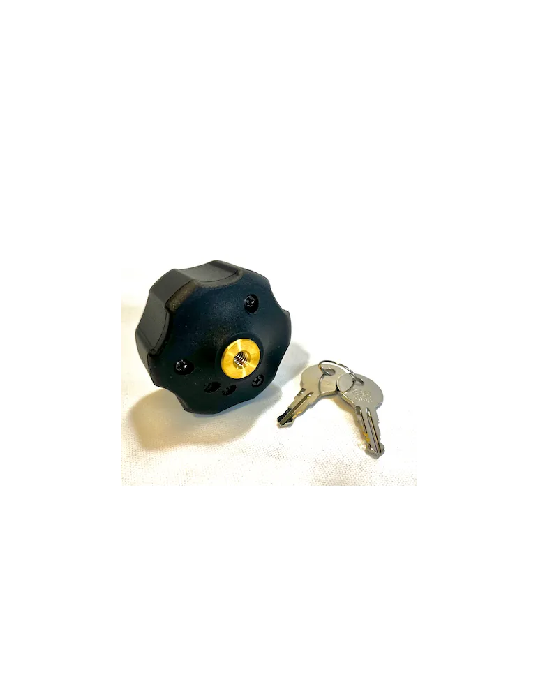 RAM anti-theft lock-knob
